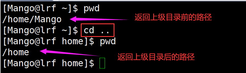 image-20220226220444525