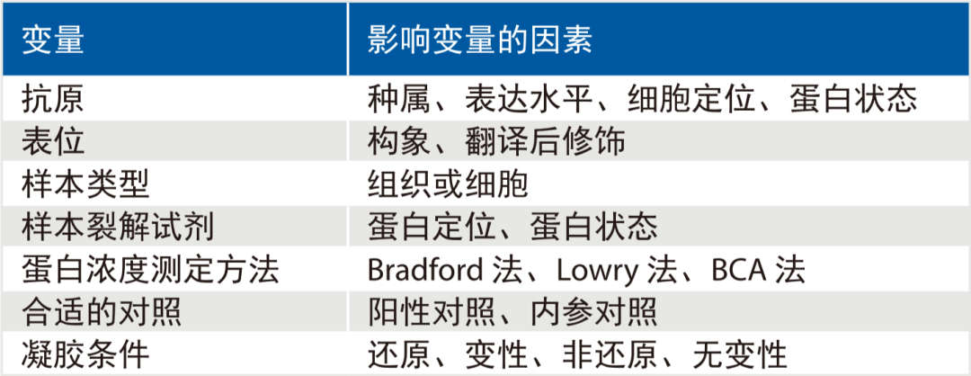 373ea25dd5f793a1a9fb7a07a11ae823.png