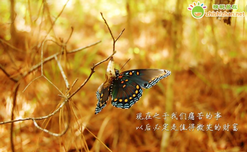 374027d3e805e663aeefb727f3b039c6.png