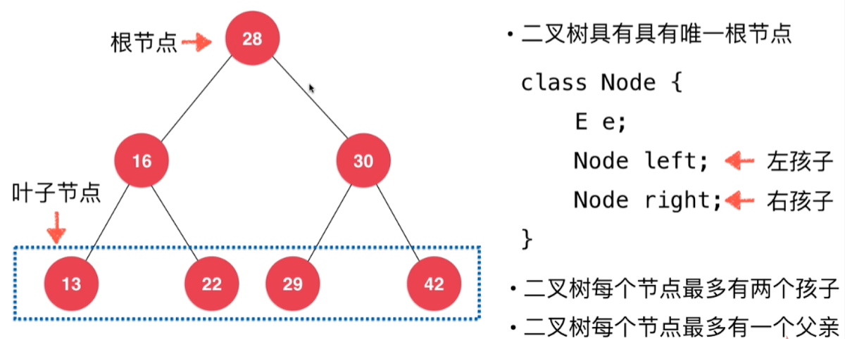 二叉树的基本概念