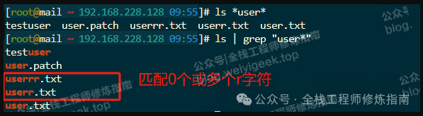 Linux 运维 | 6.从零开始，Shell编程中正则表达式 RegExp 速成指南