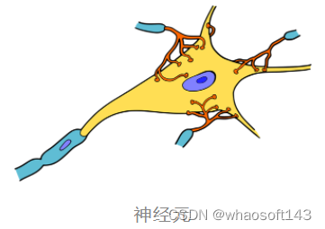 Resnet50算法原理_人工智能_17