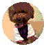 37c8e21dadd777c7a69270748255ec26.gif