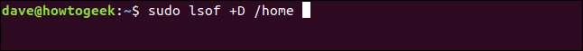 sudo lsof +D /home in a terminal window