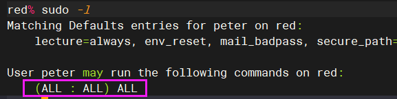 image-20220307234346919