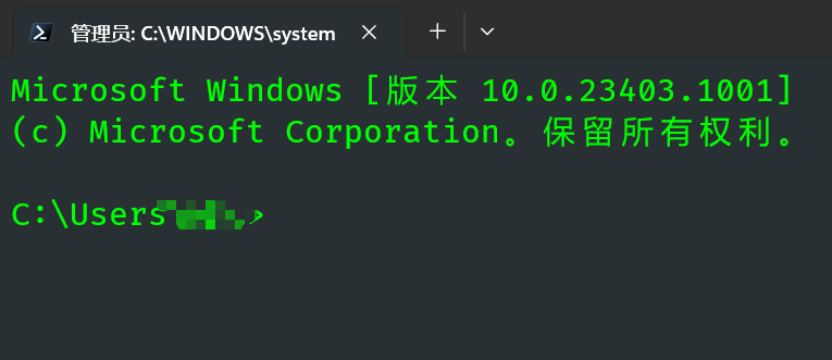 命令提示符显示Windows SDK版本号