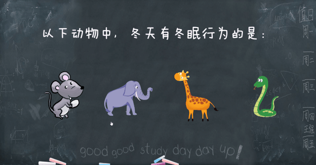 3843f4642a02112434fc98e3db0ef371.gif
