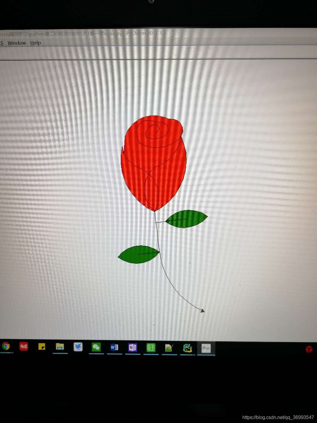 python情人节之玫瑰花与表白方式python情人节之玫瑰花与表白方式go