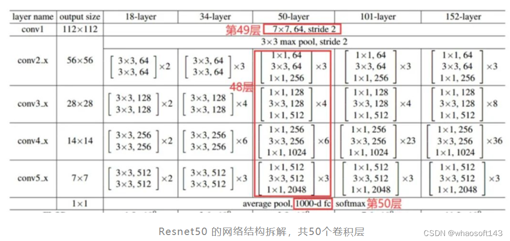 Resnet50算法原理_卷积核_29