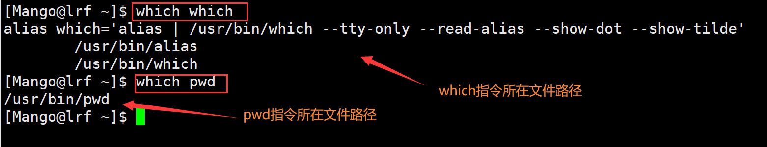 image-20220301192815160