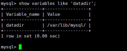 详细介绍MySQL的数据目录_mysql 数据目录-CSDN博客