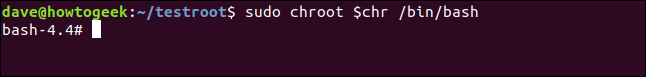 Active chroot environment in a terminal window