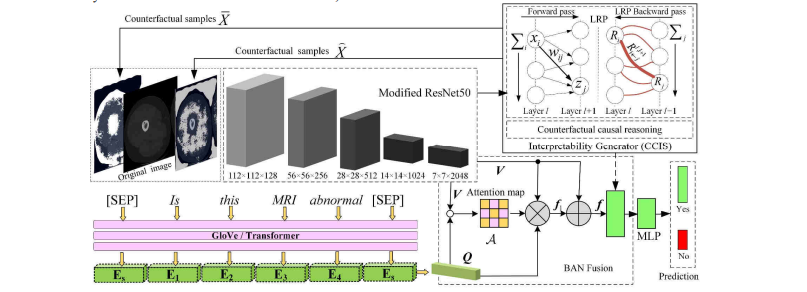 可解释<span style='color:red;'>医学</span>视觉问答<span style='color:red;'>的</span>反事实因果干预| <span style='color:red;'>文献</span><span style='color:red;'>速递</span>-<span style='color:red;'>基于</span><span style='color:red;'>深度</span><span style='color:red;'>学习</span><span style='color:red;'>的</span><span style='color:red;'>多</span><span style='color:red;'>模</span><span style='color:red;'>态</span><span style='color:red;'>数据</span><span style='color:red;'>分析</span><span style='color:red;'>与</span><span style='color:red;'>生存</span><span style='color:red;'>分析</span>