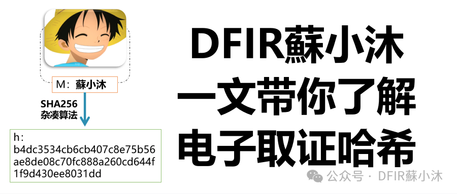 【电子取证篇】WinHex哈希校验值大小写转换和WinHex常规设置功能