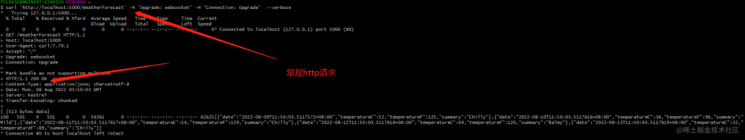 使用curl指令发起websocket请求