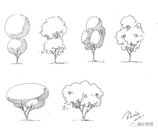 树冠是树种的主要特征,可将其理解为多个球体的组合,在组合时要注意