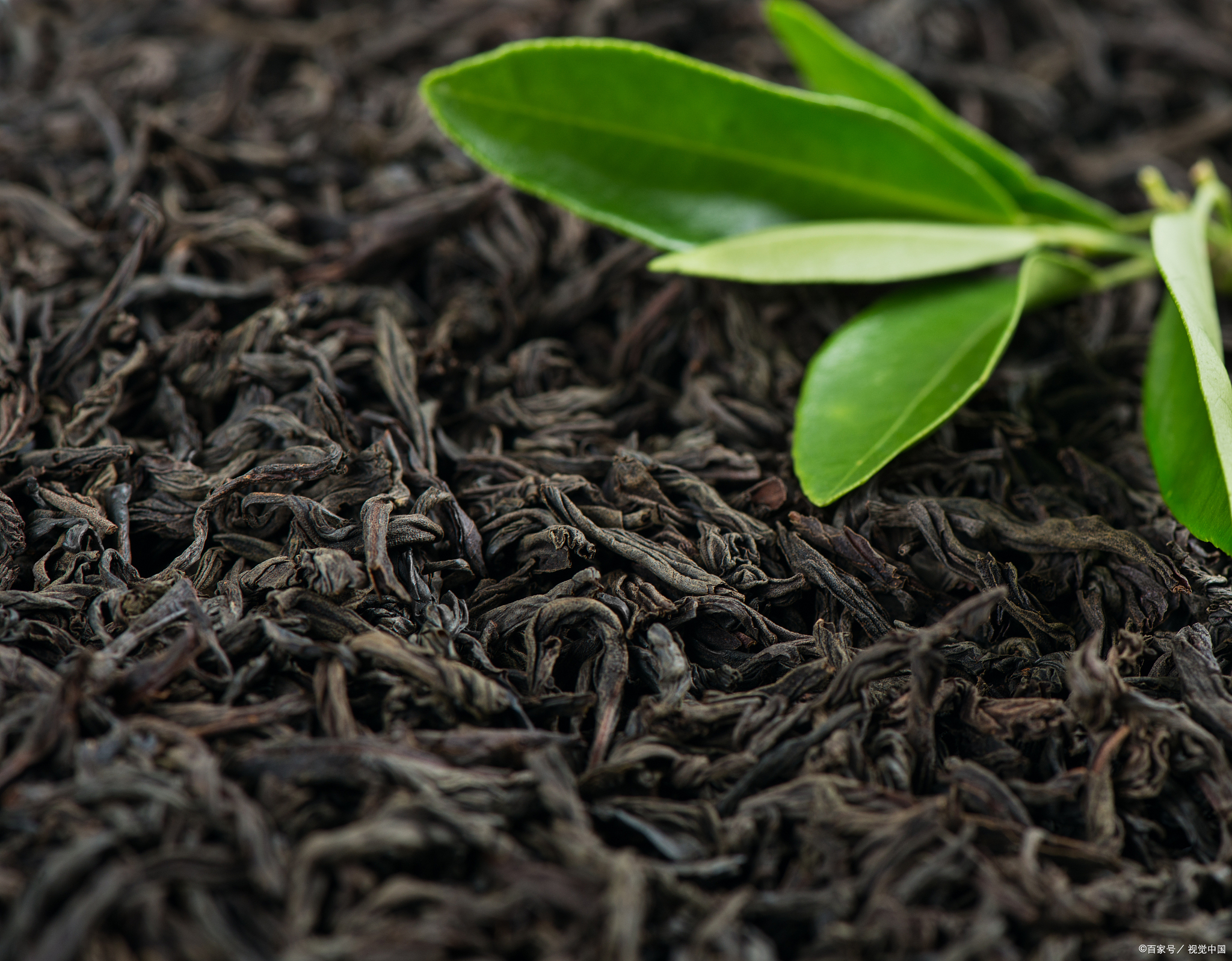 普洱生茶保存的最佳方法是什么？