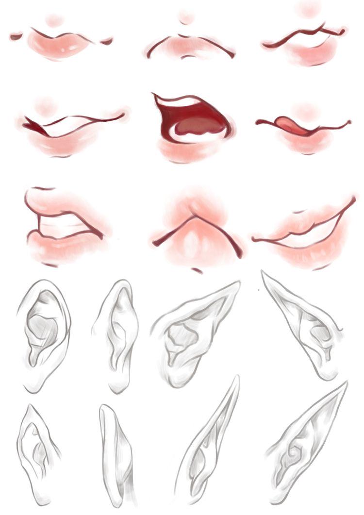 39accc17b804584d04110855a524204f.png