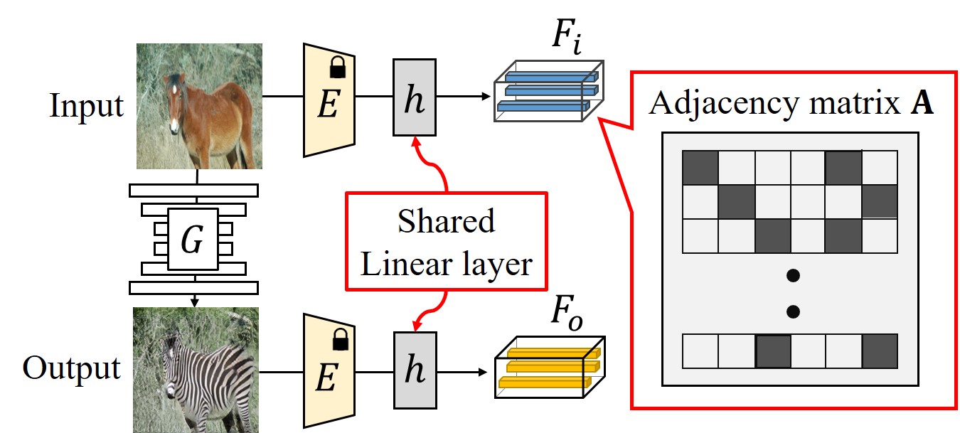 Patch-Wise Graph Contrastive Learning for Image Translation