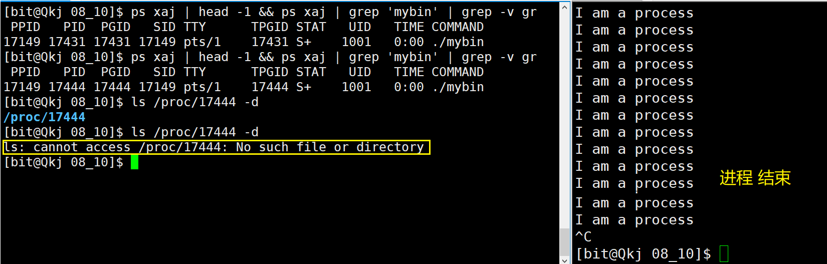 image-20220810111726382