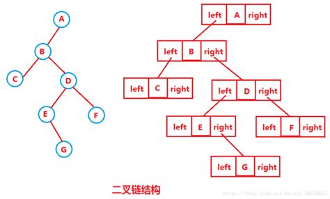 【数据结构初阶】详解“树”