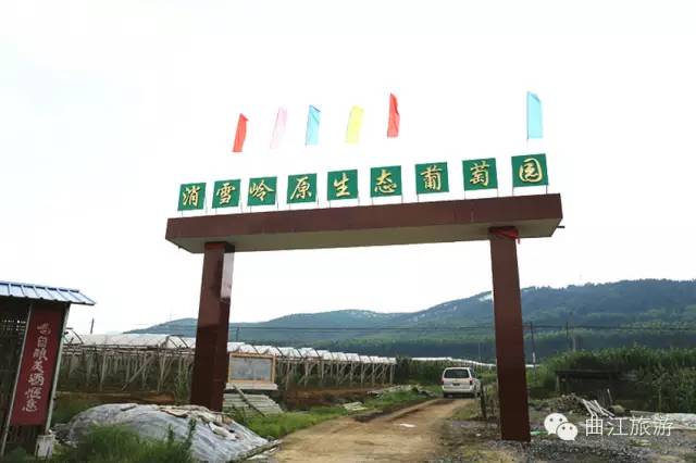 39f152f89c8689f8deb41019c4024317.png