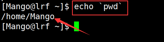 image-20220313113518194