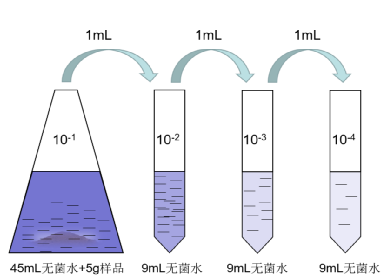 用移液枪吸取1 ml到玻璃试管中,此时稀释梯度为10