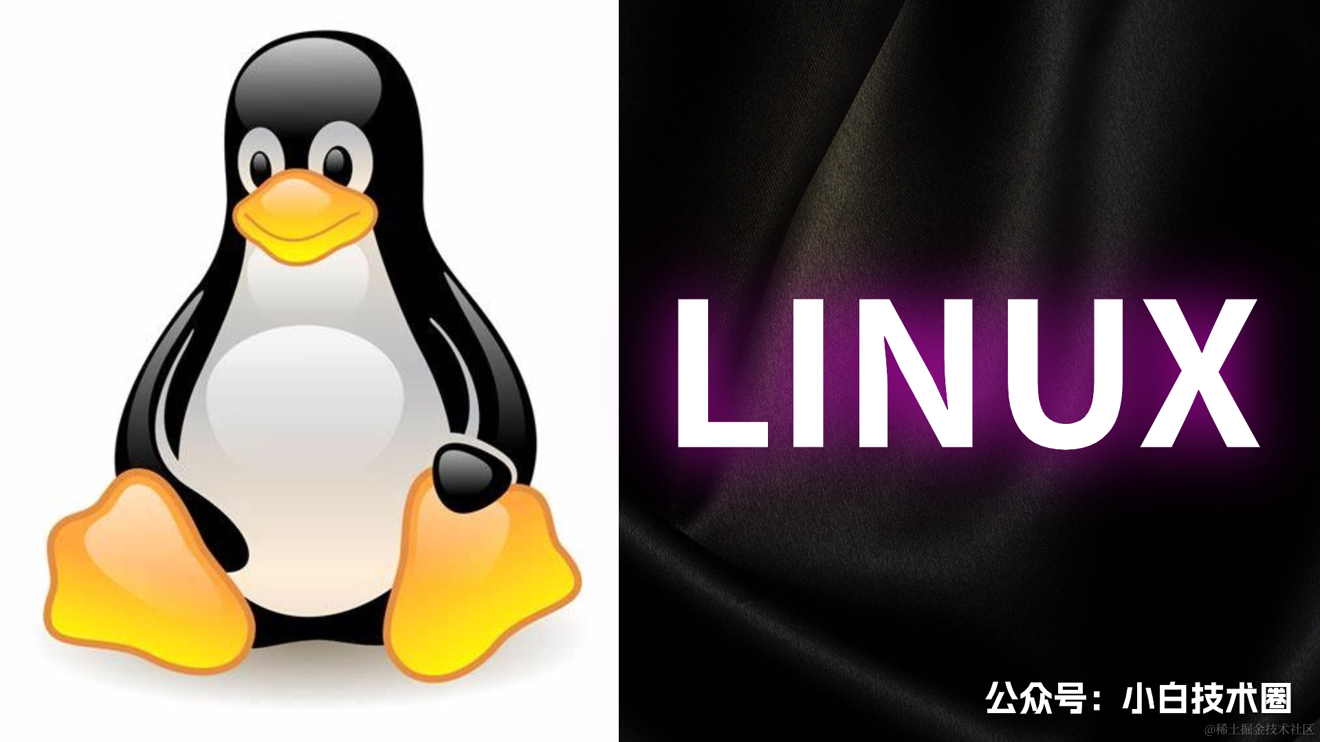 Linux_常用命令大全.png
