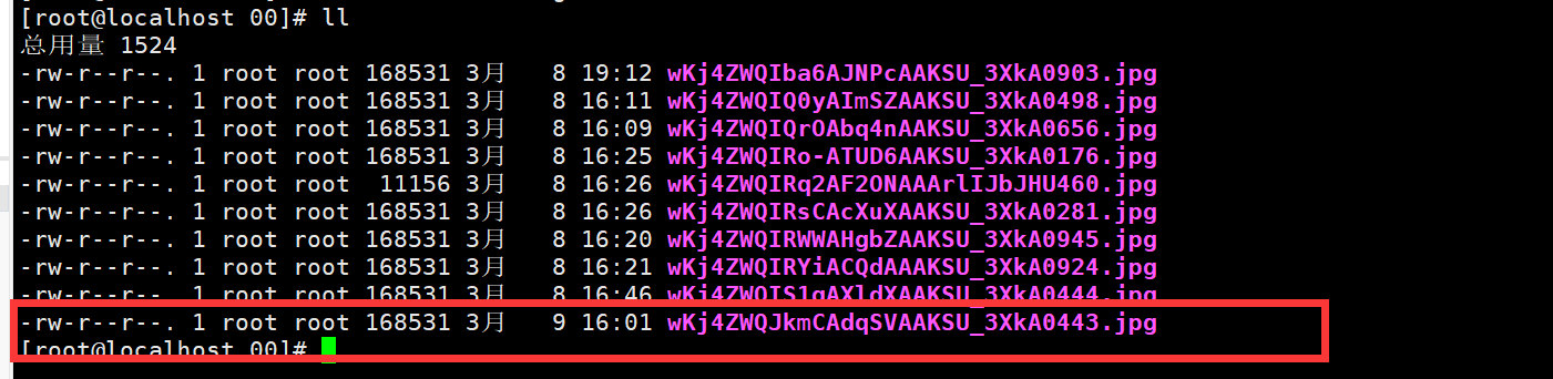 爆肝两万字，详解fastdfs分布式文件系统-小白菜博客