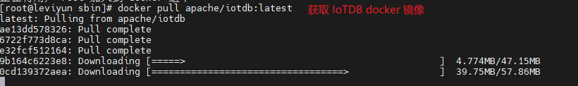 ȡ IoTDB docker 