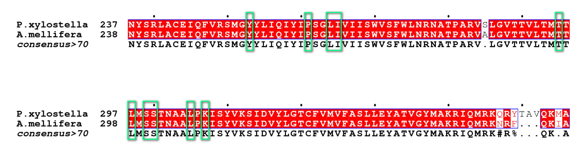 图3. P. xylostella GABAR和A. mellifera GABAR蛋白质序列的比对。红色背景上的白色字母代表相同的氨基酸，白色背景上的红色字母代表相似的氨基酸，绿色方框中的氨基酸代表与结合口袋中的氟噁唑酰胺对映体相互作用的残基。