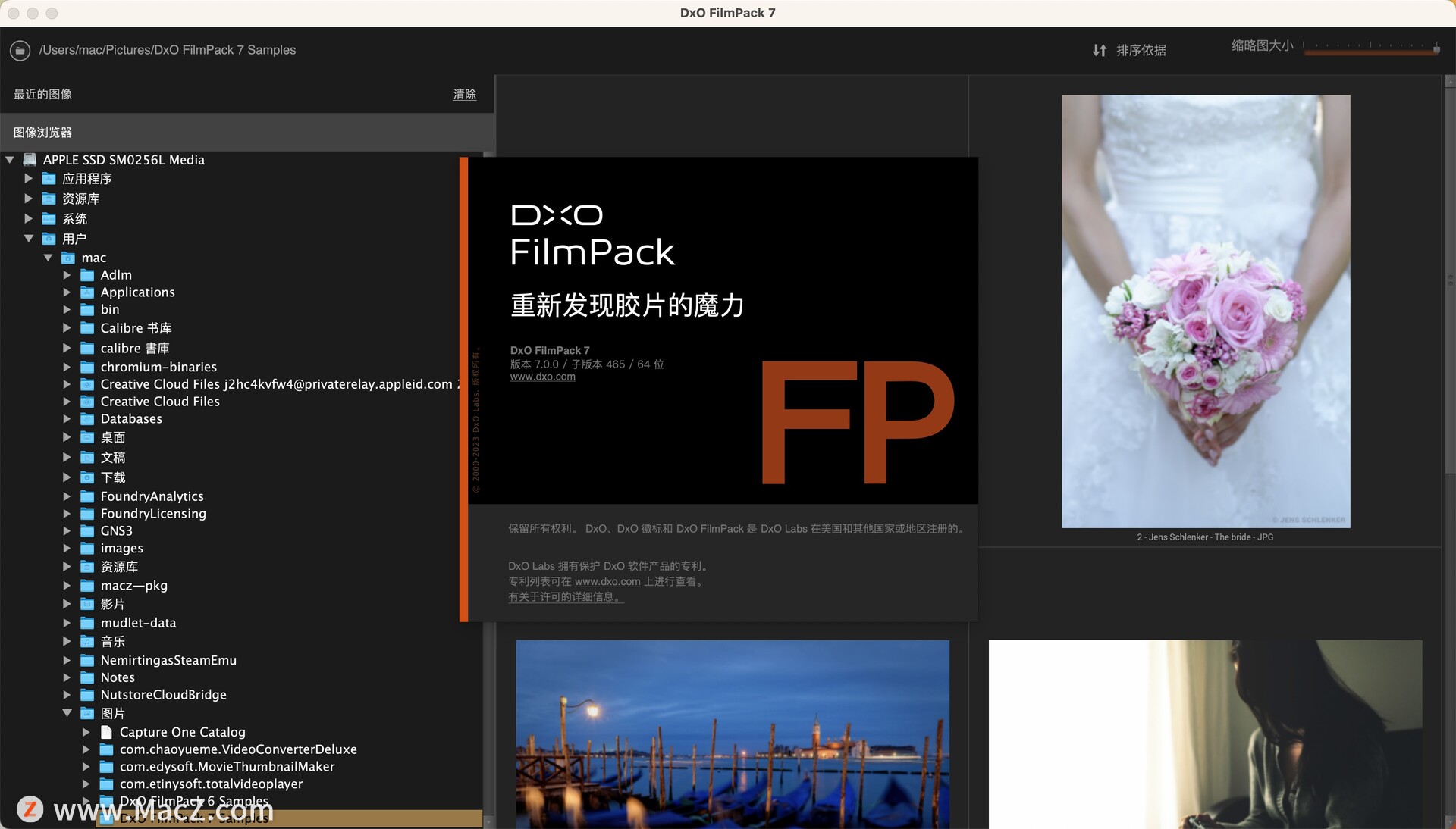 DxO FilmPack 7.0.0.465(胶片效果滤镜软件)