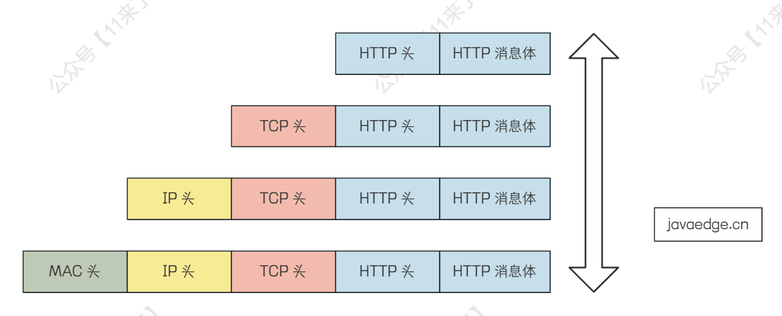 计算机网络面试高频：输入域名会发生那些操作，开放性回答