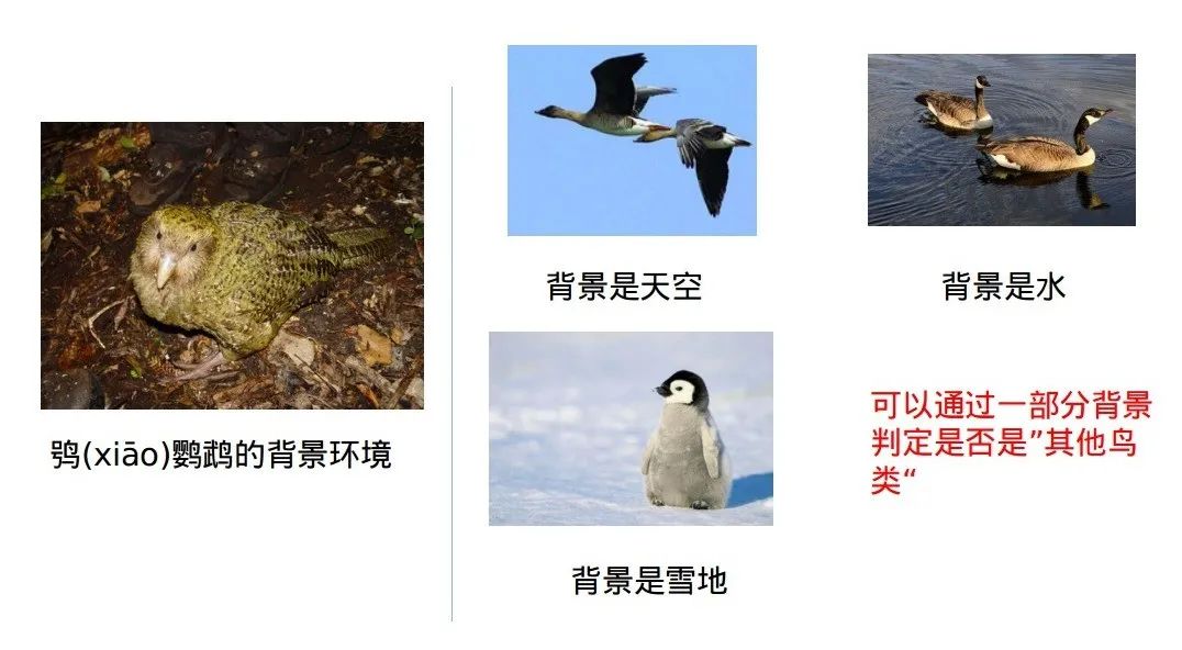 3b5b564dce9368622a7ce0b3a0409683.jpeg