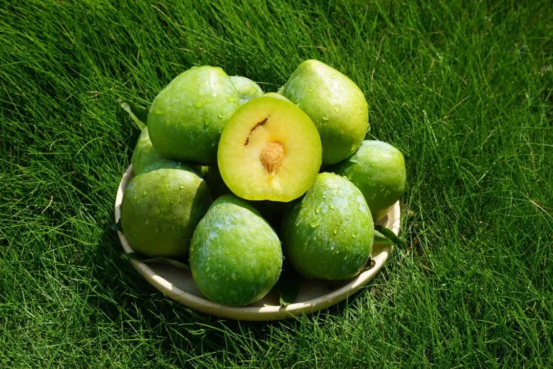 3b6f1279907abef00ccb7ec3f82b32d5.png