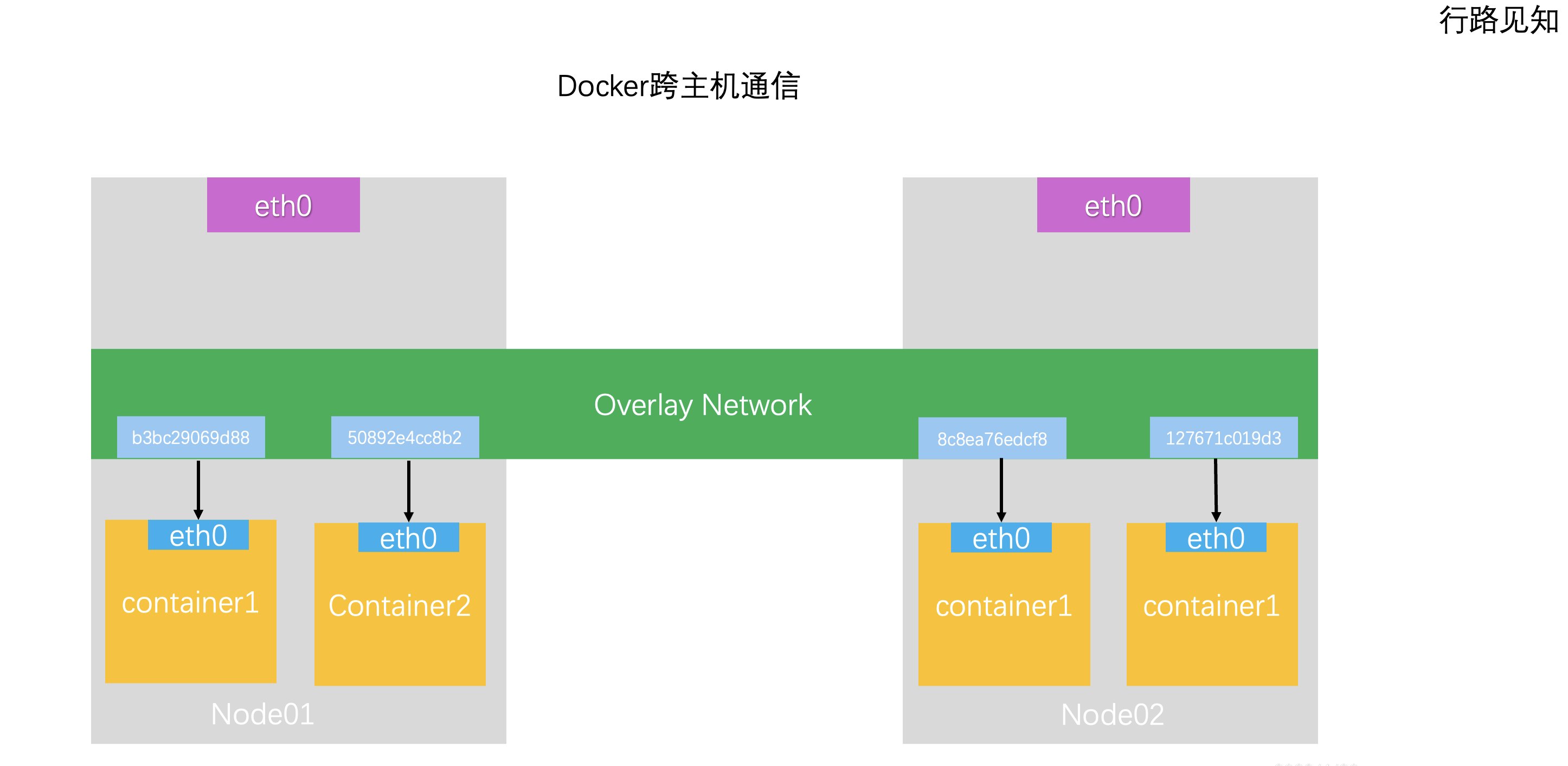 docker网络管理