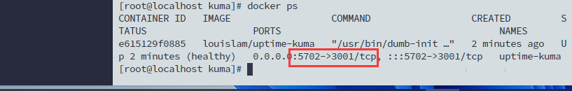 一文教你如何Linux系统本地部署运维监控服务Uptime+Kuma并实现无云服务器远程监控_学习方法_07