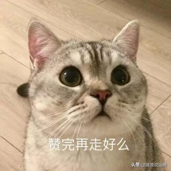 3caa42f801043b67f4dc2d91aed60186.png