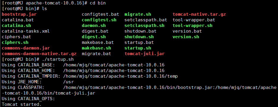 image-20220128054034665