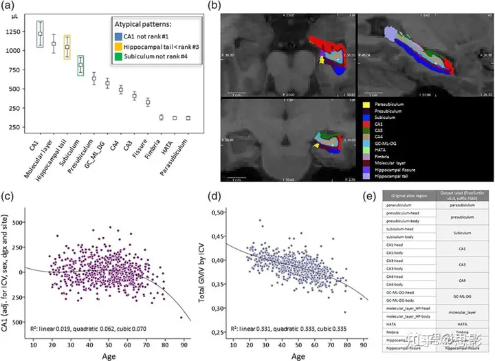 基于FreeSurfer的海马亚区分割-CSDN博客