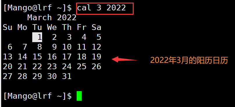 image-20220301191248600