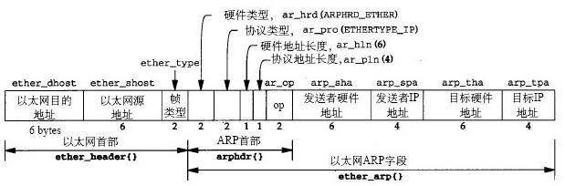 ARP报文格式