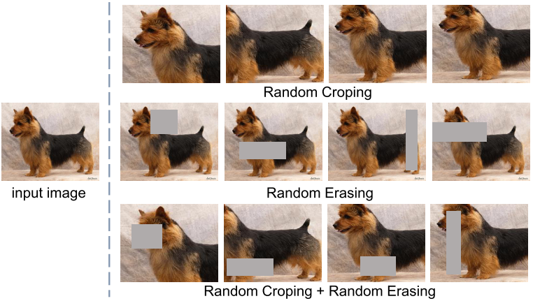 image-20210509000028122