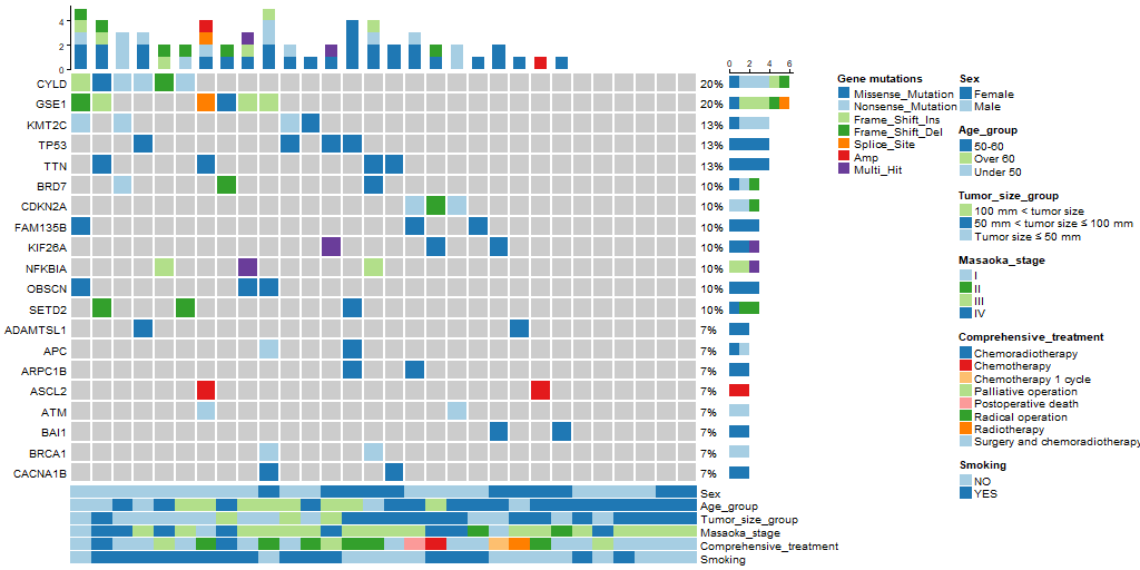 肿瘤生信科研：绘制突变景观图（mutation landscape）