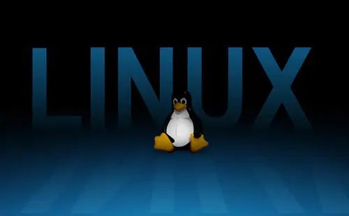 操作系统：Linux 环境变量配置的 6 种方法