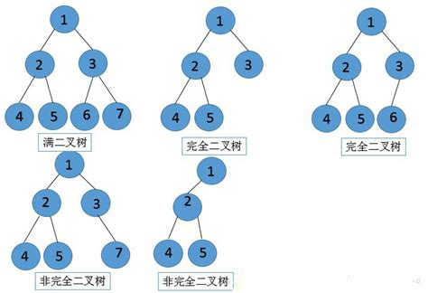 数据结构11.二叉树_Aemonair's 世界树．-CSDN博客