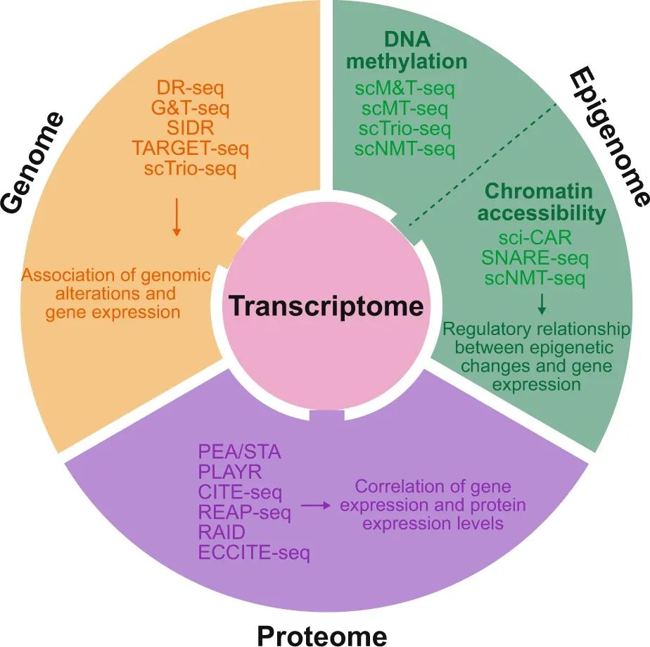 (Ref: Lee et al, Exp Mol Med, 2020)