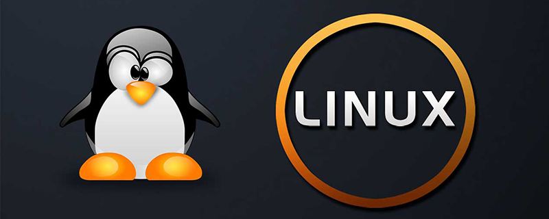linux vim安装_Linux下vim的安装及其设置细节（建议收藏）