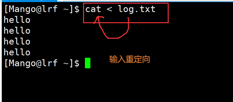 image-20220313144203462